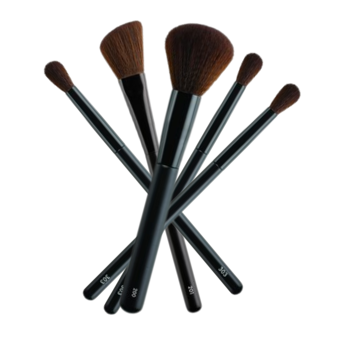 5pc Brush Set