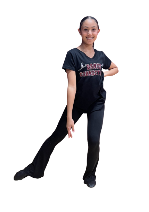 Ladies Jersey V-Neck T-Shirt