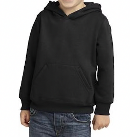 Toddler Hoodie