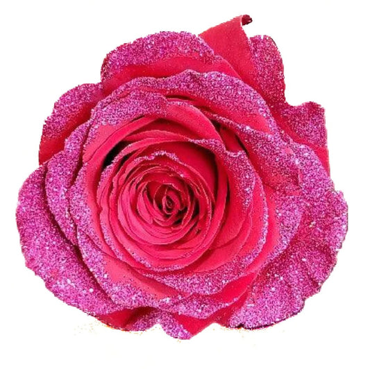 "Glitter Ballerina" 3-Stem Pink Rose Bouquet