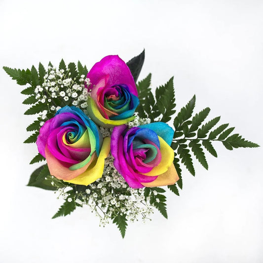 "Rainbow Ballerina" 3-Stem Rose Bouquet
